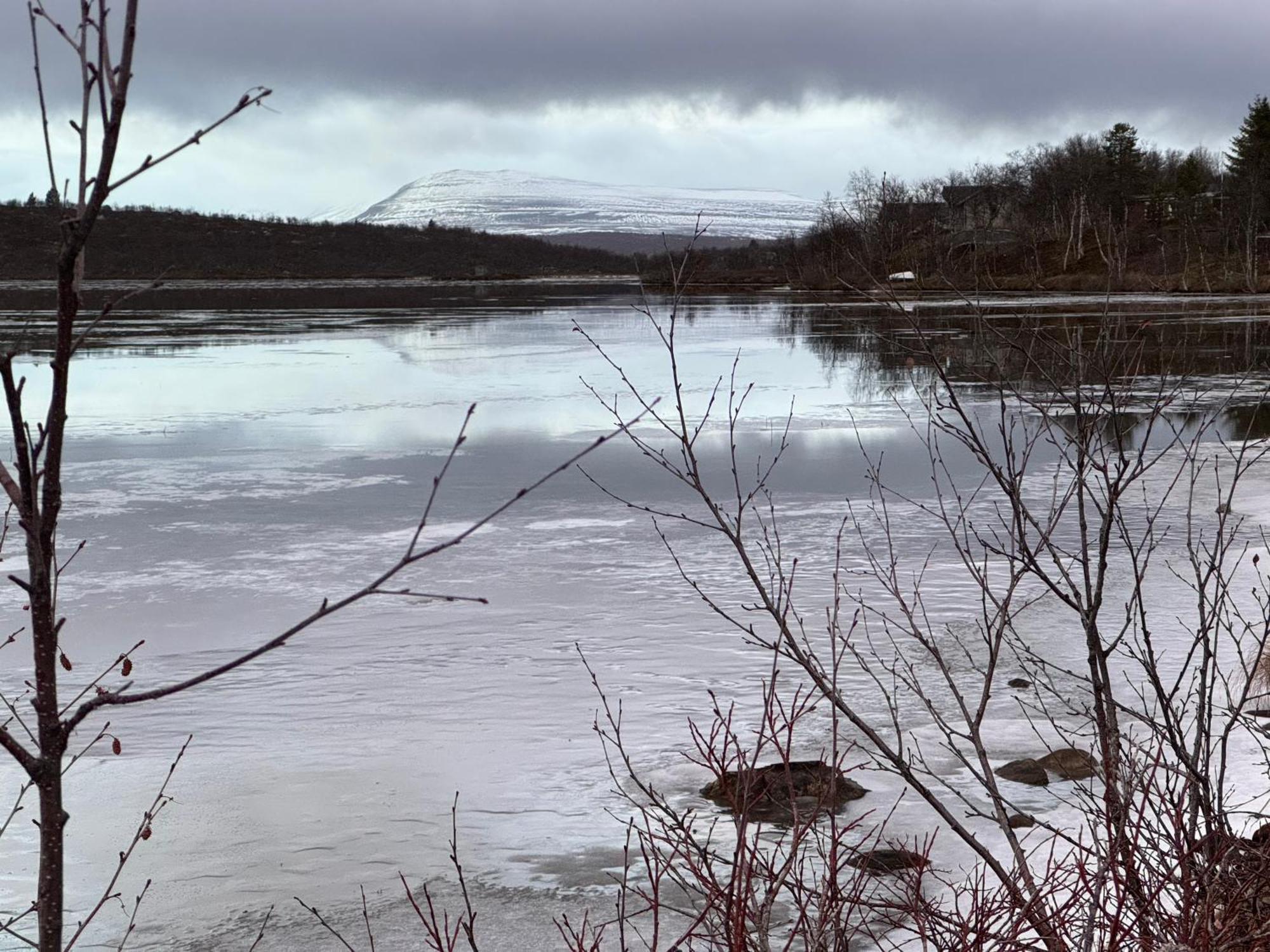 Cottage Lavkavann Finnmarksvidda Skoganvarre Ngoại thất bức ảnh