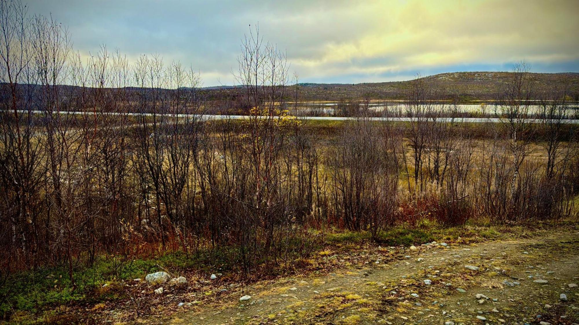 Cottage Lavkavann Finnmarksvidda Skoganvarre Ngoại thất bức ảnh